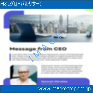 市場と産業調査レポートのイメージ